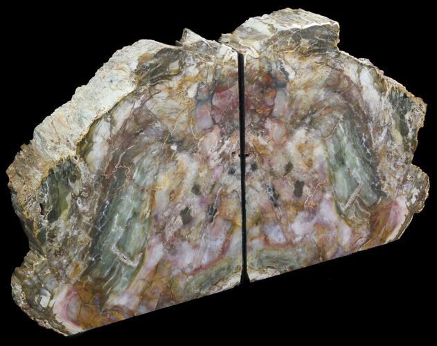 Madagascar Petrified Wood Bookends - Tall #41500